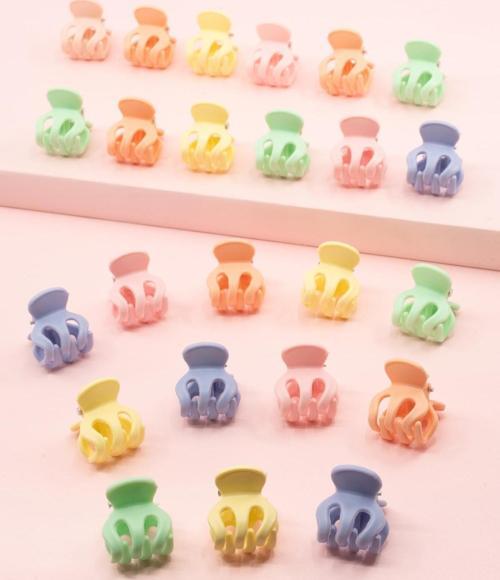 Kadın 24'lü Renkli Dişli Tırmık Toka Seti