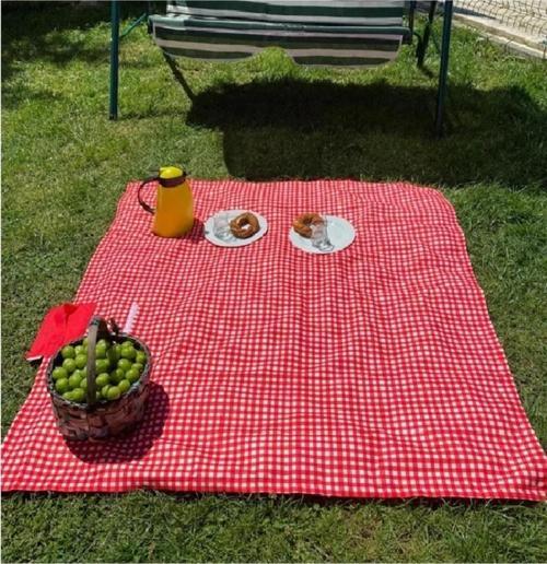 Kırmızı Çantalı Piknik Örtüsü 150x160 Cm