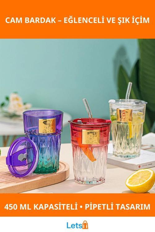 Pipetli Şık Cam Bardak 450ml Karışık Renkler