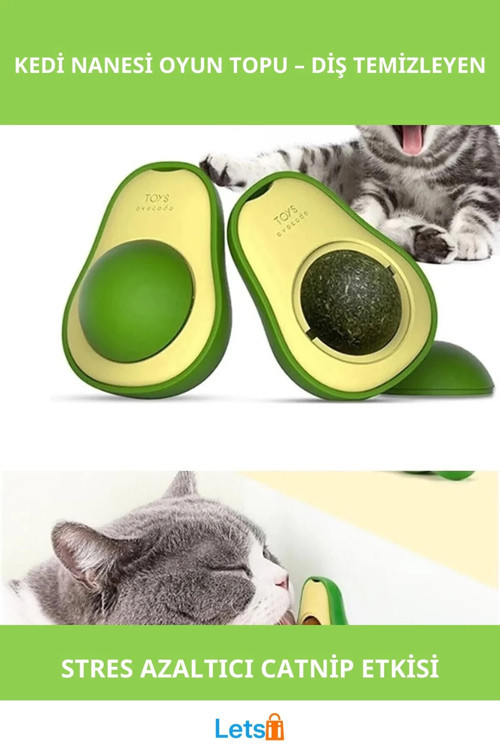 Doğal Kedi Nanesi Oyun Topu 5 cm Çapında