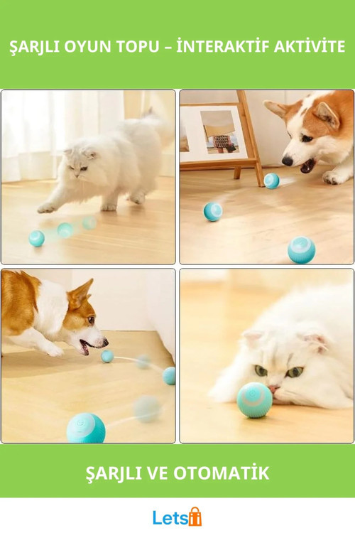 Şarjlı Etkileşimli Kedi Köpek Oyun Topu Güvenli ve Eğlenceli