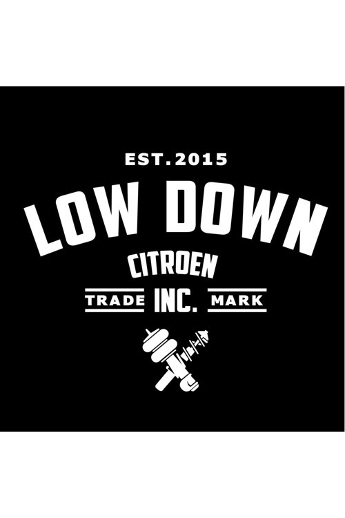 Low Down Citroen Arka Cam Özel Sticker 40*31 Cm