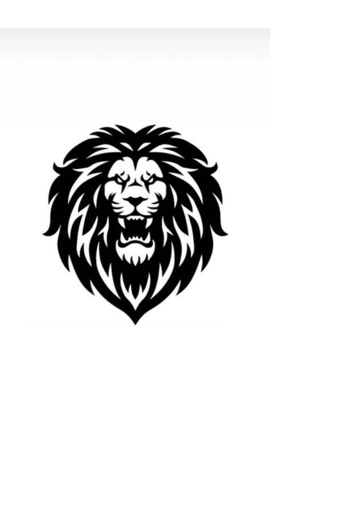 Aslan Tasarımlı Oto Özel Sticker 20*20 Cm