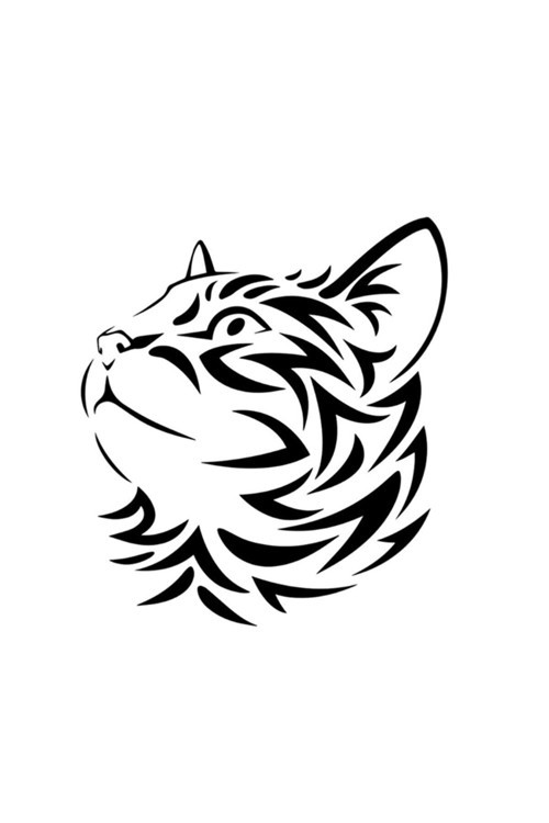 Hırçın Kedi Oto Cam Özel Sticker 10*15 Cm