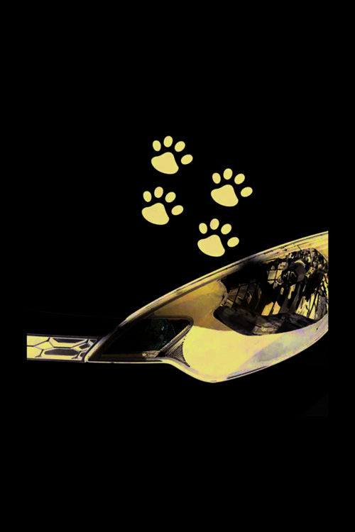 Kedi Pati İzi Oto Özel Sticker Siyah 8 Adet 15*15 Cm