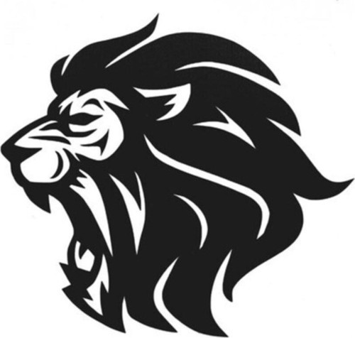 Aslan Tasarımlı Oto Özel Sticker Siyah 30*25 Cm