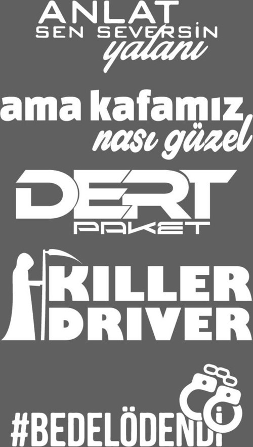 Oto Arka Cam Özel Sticker Model 50 Beyaz 40*20 Cm