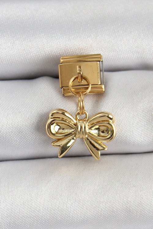 316L Çelik Sallantılı Fiyonk Renk Nomination Charm