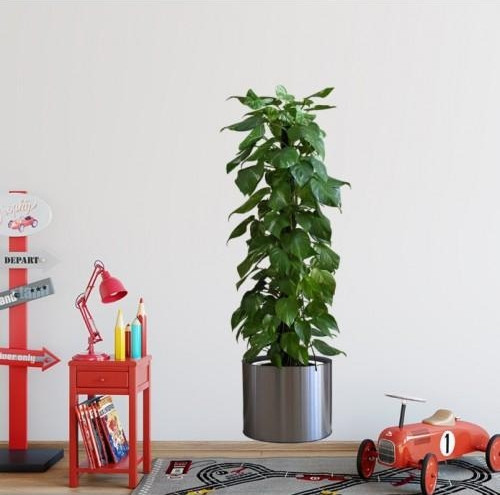 Saksılı Bitki Tasarımlı Yapışkanlı Sticker Resim 90*30 cm (5314)
