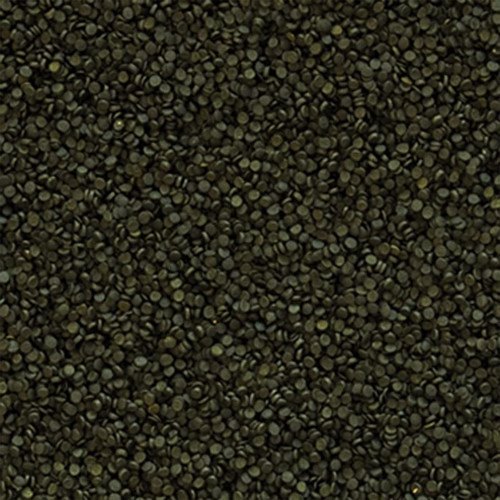 Süper Spirulina Forte Granulat 1000 Gram Granül Yem