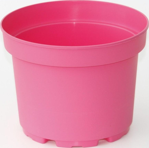 Pembe Saksı 20 Adet