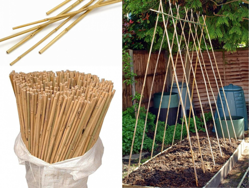 Bitki Destek Çubuğu Bambu 75 CM 10 Adet