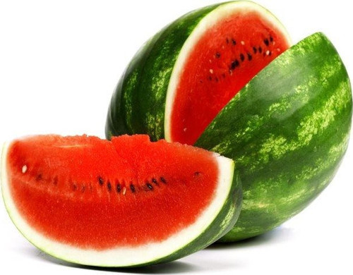 Karpuz Yetiştirme Seti