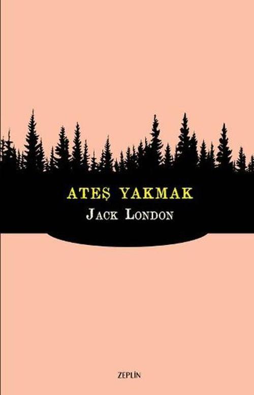 Zeplin Kitap Ateş Yakmak