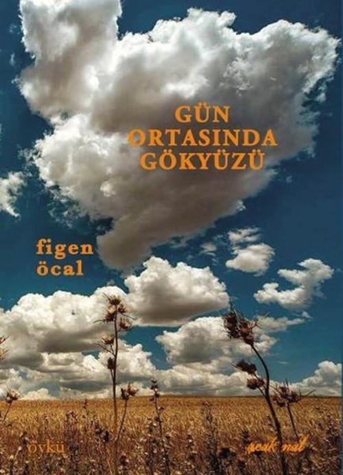 Gün Ortasında Gökyüzü