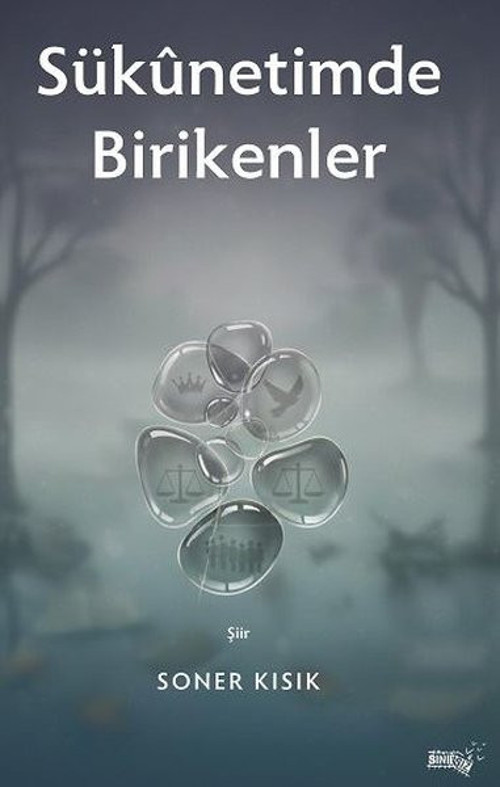 Sükunetimde Birikenler