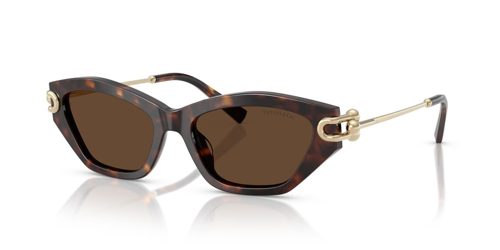 TIFFANY & CO 4231U 80153G 53 Kadın Güneş Gözlüğü