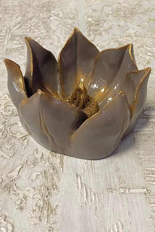 Küçük Lotus Nilüfer Çiçeği