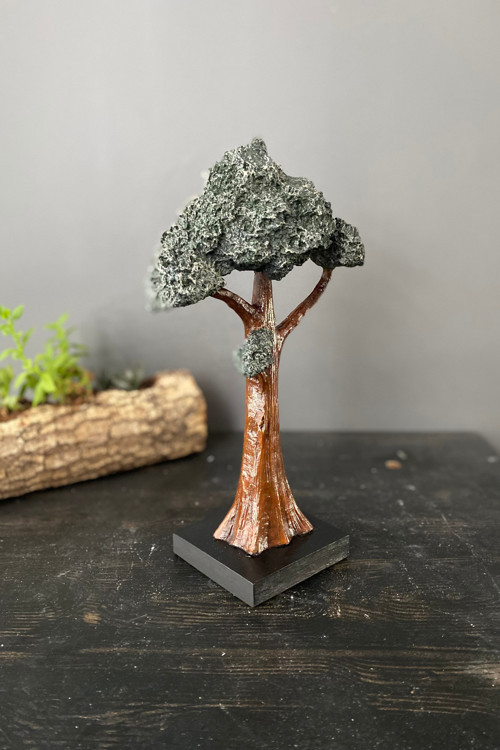 Dekoratif Dik Bonsai Ağaç