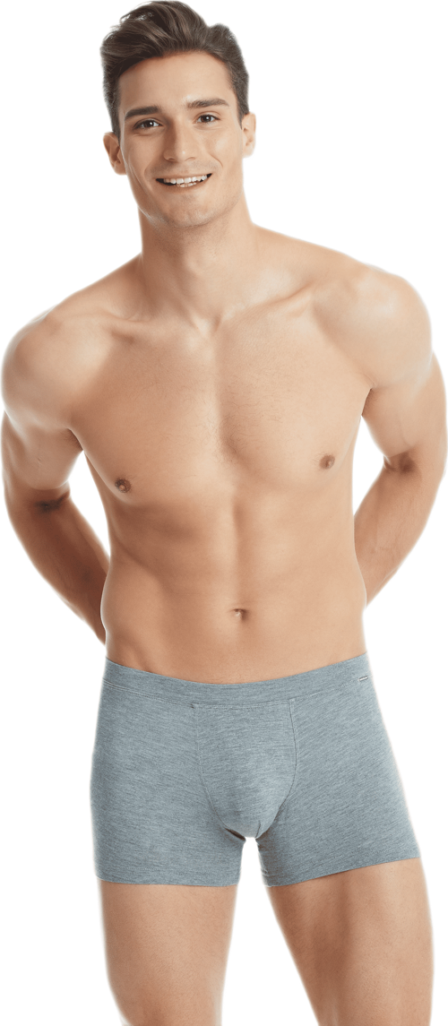 Erkek Modal Elastan Boxer Silver 9310
