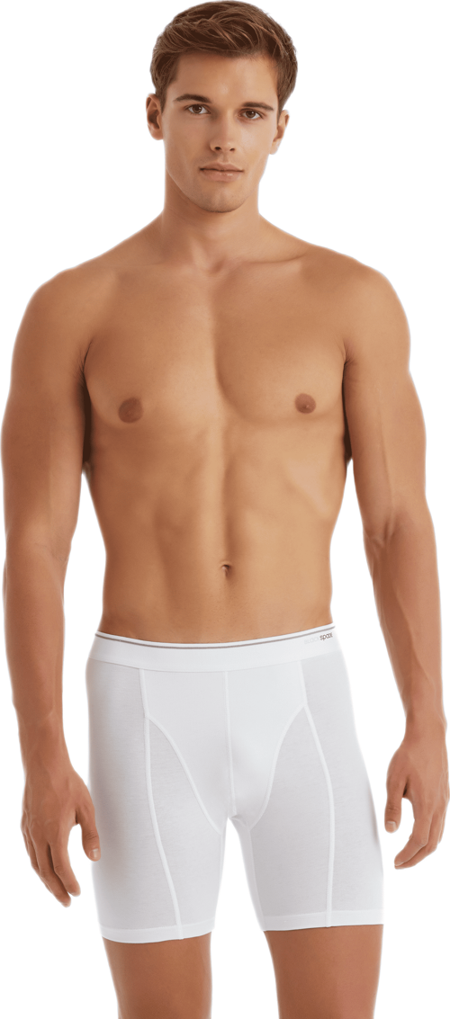 Erkek Retro Boxer Tender Cotton 9216