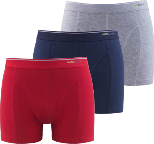 Erkek Boxer 3'lü Paket Tender Cotton 9673