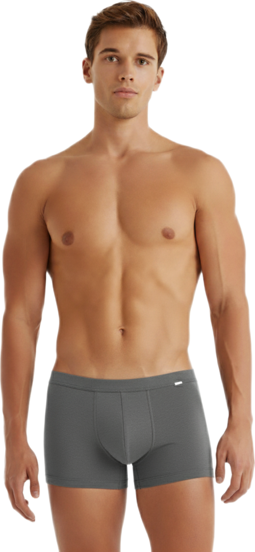 Erkek Modal Elastan Boxer Silver 9310