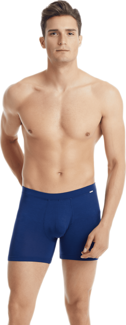 Erkek Silver Boxer 9313