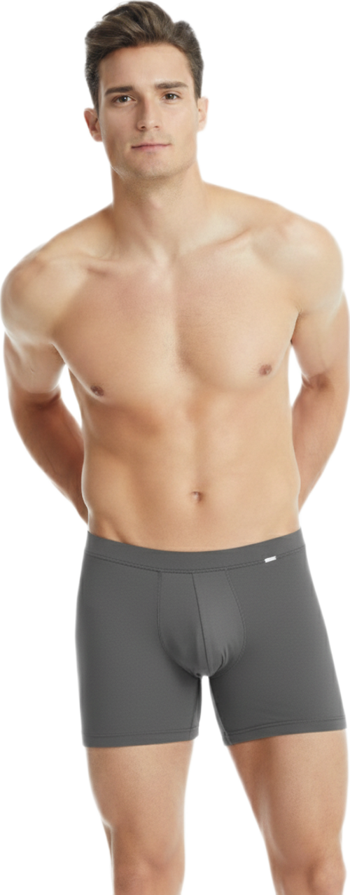 Erkek Silver Boxer 9313