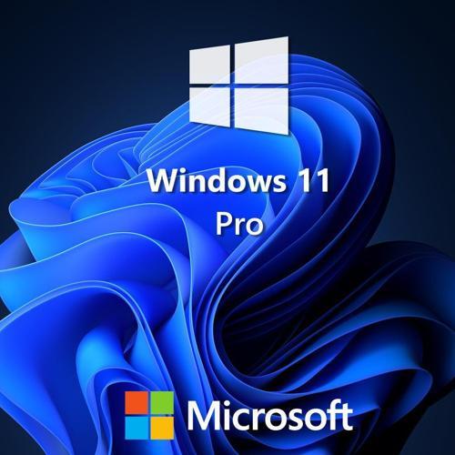 Windows 11 Pro Dijital Lisans