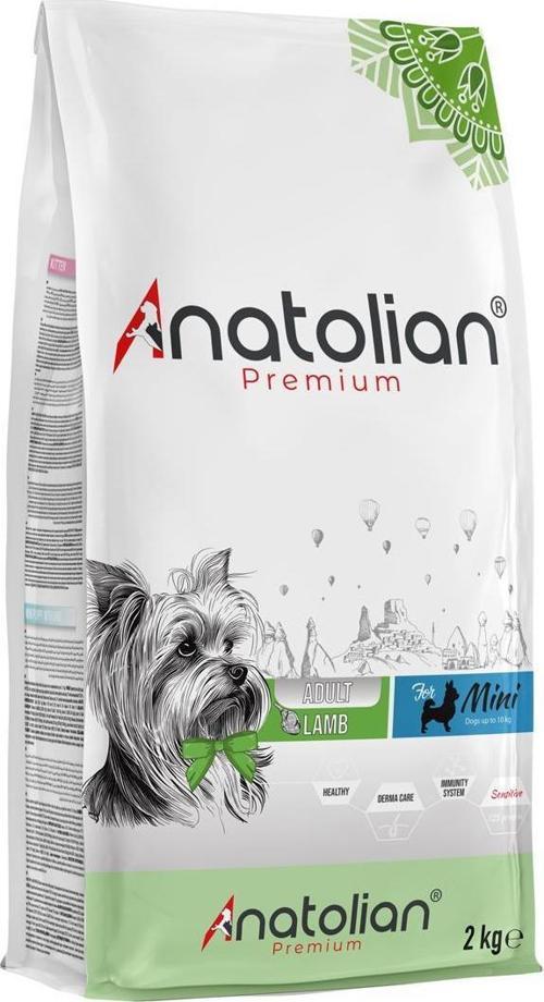 Mini Adult Lamb Kuzulu Yetişkin Küçük Irk Köpek Maması 2 Kg