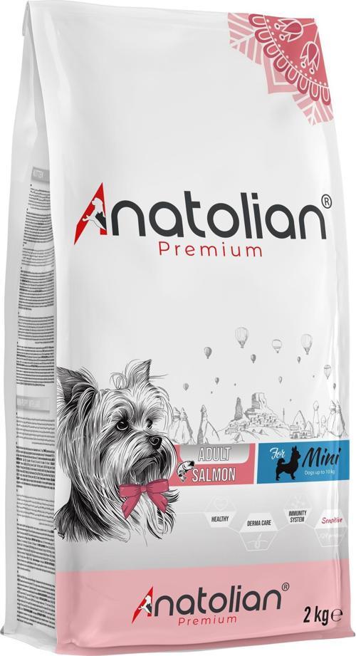 Mini Adult Salmon Somonlu Yetişkin Küçük Irk Köpek Maması 4 Kg