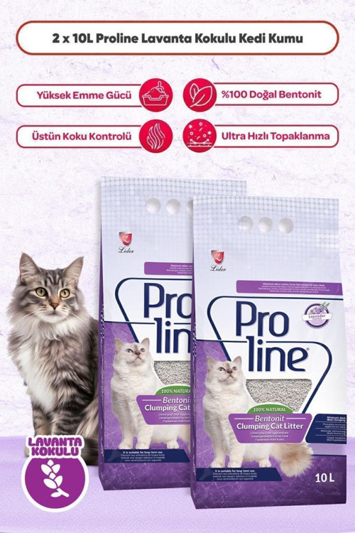 Lavanta Kokulu Kedi Kumu 2x10 Lt ( 2 Adet 10 Lt )