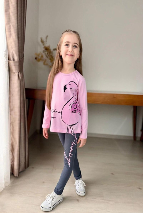 Flamingo Desenli Pembe Renk Kız Çocuk Mevsimlik Taytlı Takım