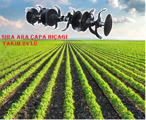 DALAZ,ZEBRA Çapa Makinesi UYUMLU SIRA ARA BIÇAGI,FİDE ARASI,PANCAR ARASI ÇAPALAMA
