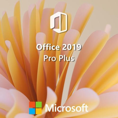 Office 2019 Lisans