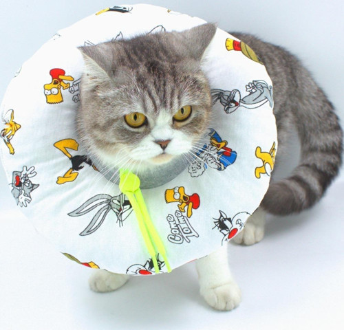 Kedi & Köpek Boyunluk M Beden