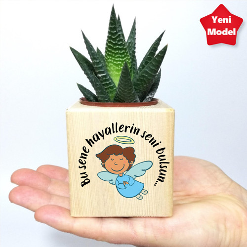 Yılbaşı Hediyesi, Yeni Yıl Hediyesi Ahşap Küp Saksı ve Sukulent, Yılbaşı Hediyesi Canlı Haworthia Sukulent