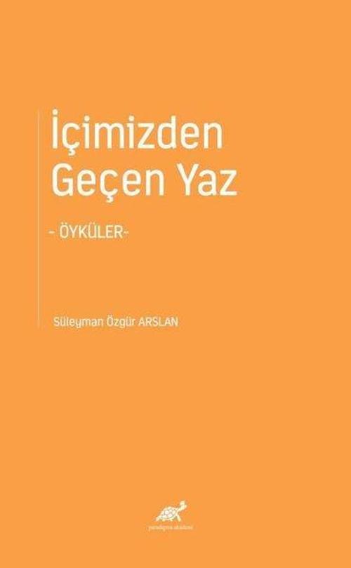 İçimizden Geçen Yaz - Öyküler