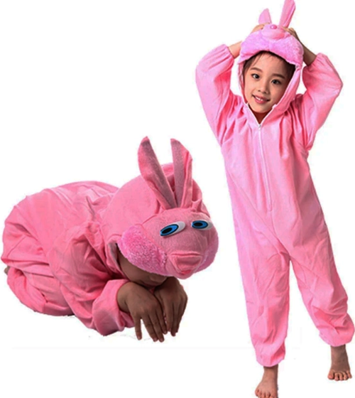 Çocuk Tavşan Kostümü Pembe Renk 4-5 Yaş