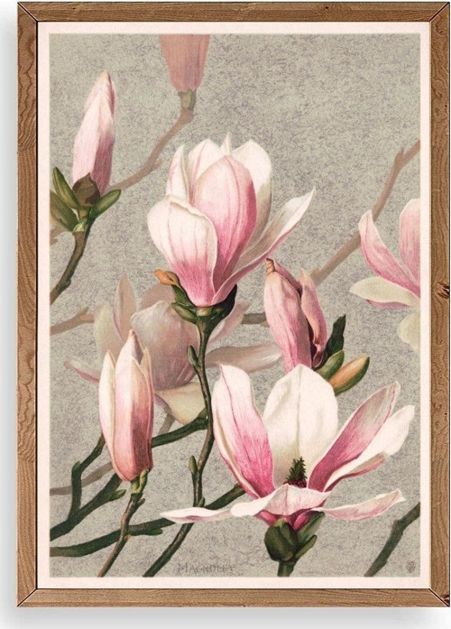 Magnolia Flowers Ahşap Çerçeveli Tablo