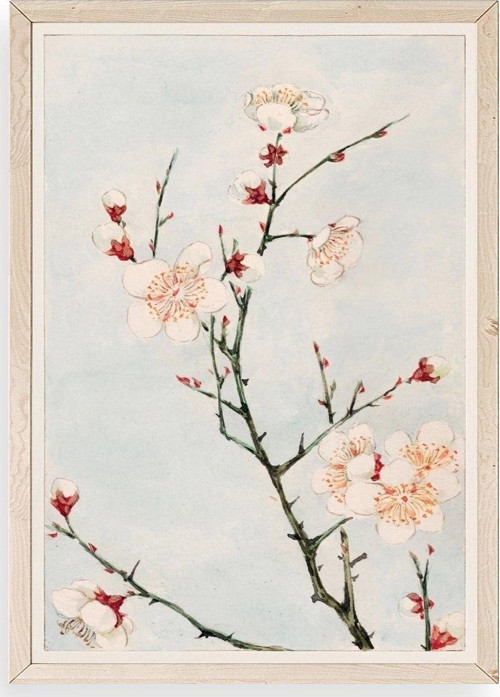 Cherry Blossom Ahşap Çerçeveli Tablo