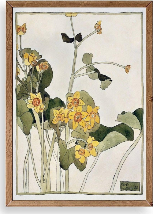 Marsh Marigold Ahşap Çerçeveli Tablo
