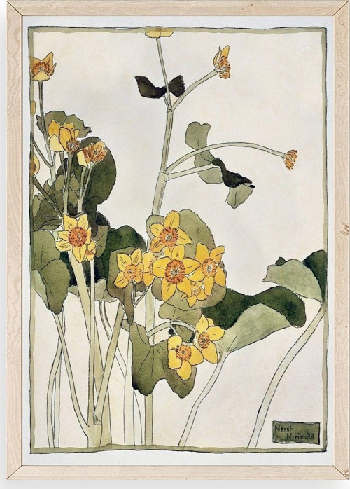 Marsh Marigold Ahşap Çerçeveli Tablo