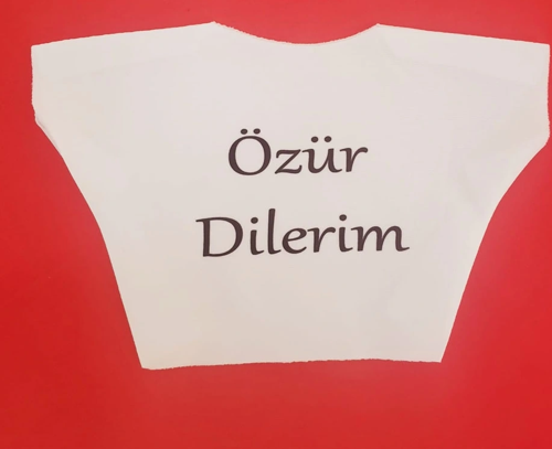 Özür Dilerim Yazılı Peluş Oyuncak Ayı Tişörtü