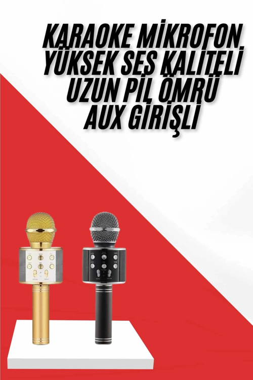 Karaoke Mikrofon Dahili Hoparlörlü Sd-Usb-Aux Girişli Bluetooth Hoparlör