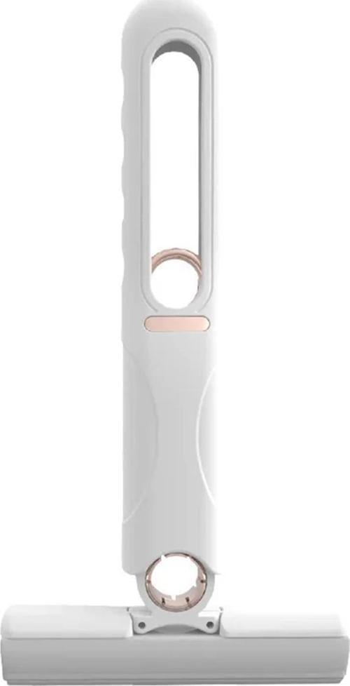 Taşınabilir Mini Mop Temizlik Paspası ve Cam Silme Aparatı