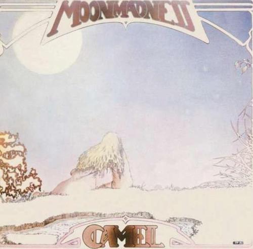 Camel Moonmadness Plak