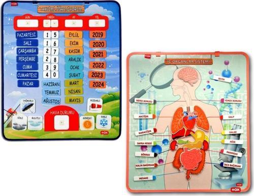 2 Set - 69 Parça  İç Organlar ve Takvimi Öğreniyorum Keçe Cırtlı Duvar Panoları , Eğitici Oyuncak