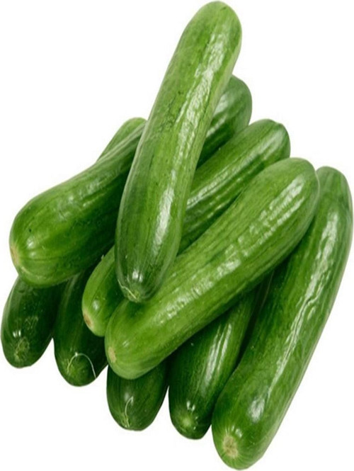Hıyar Tohumu 20 Gr